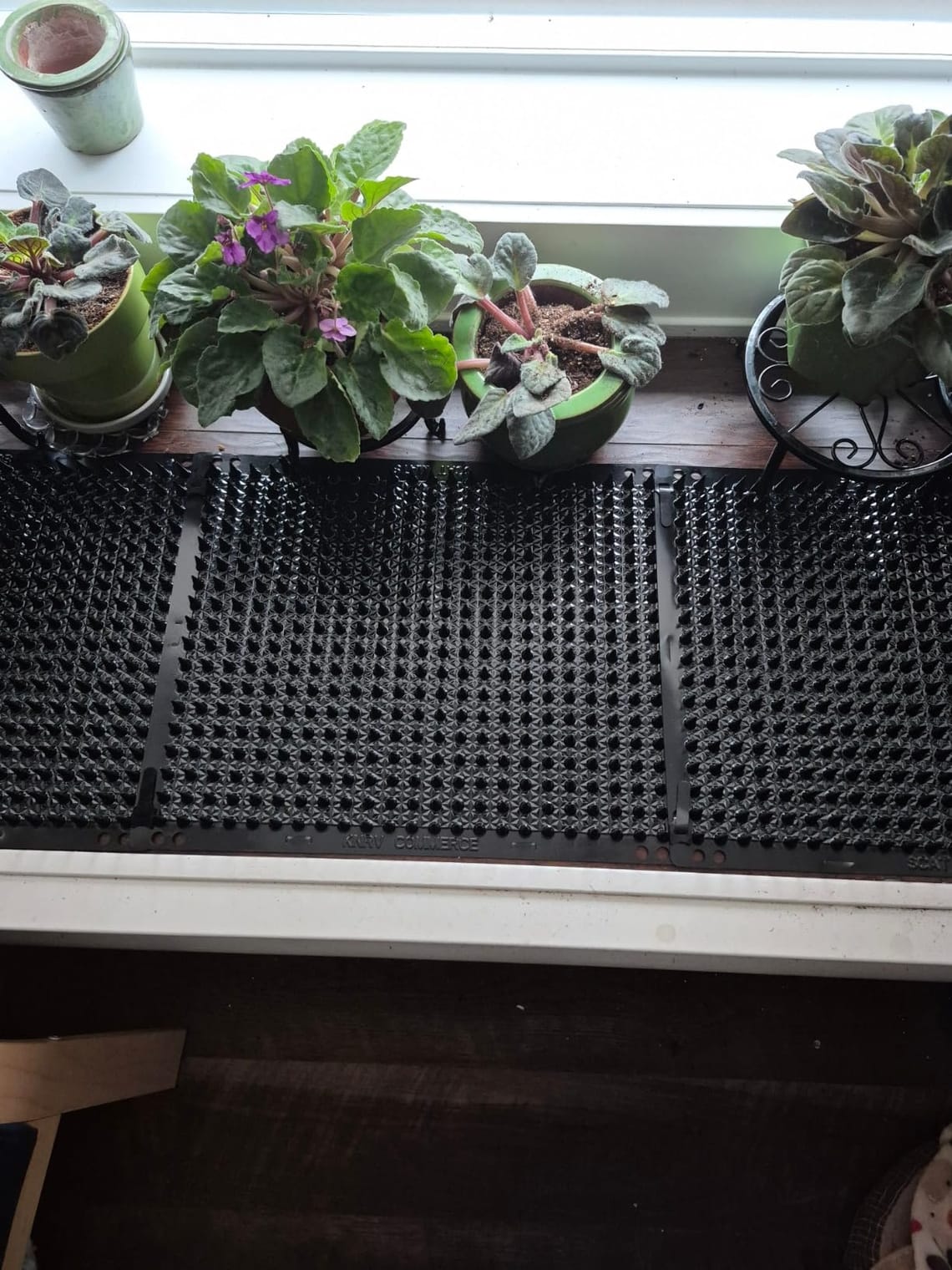 Do Cat Scat Mats Work? A Pet Owner's Honest Review