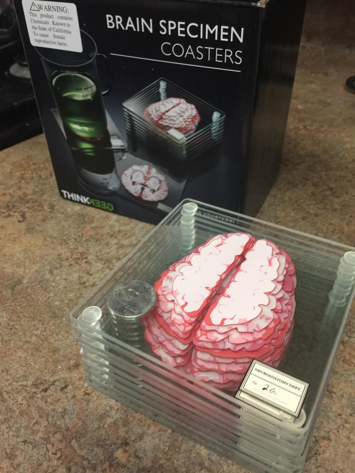 Brain Coasters Review: The Ultimate Gift for Med Students?