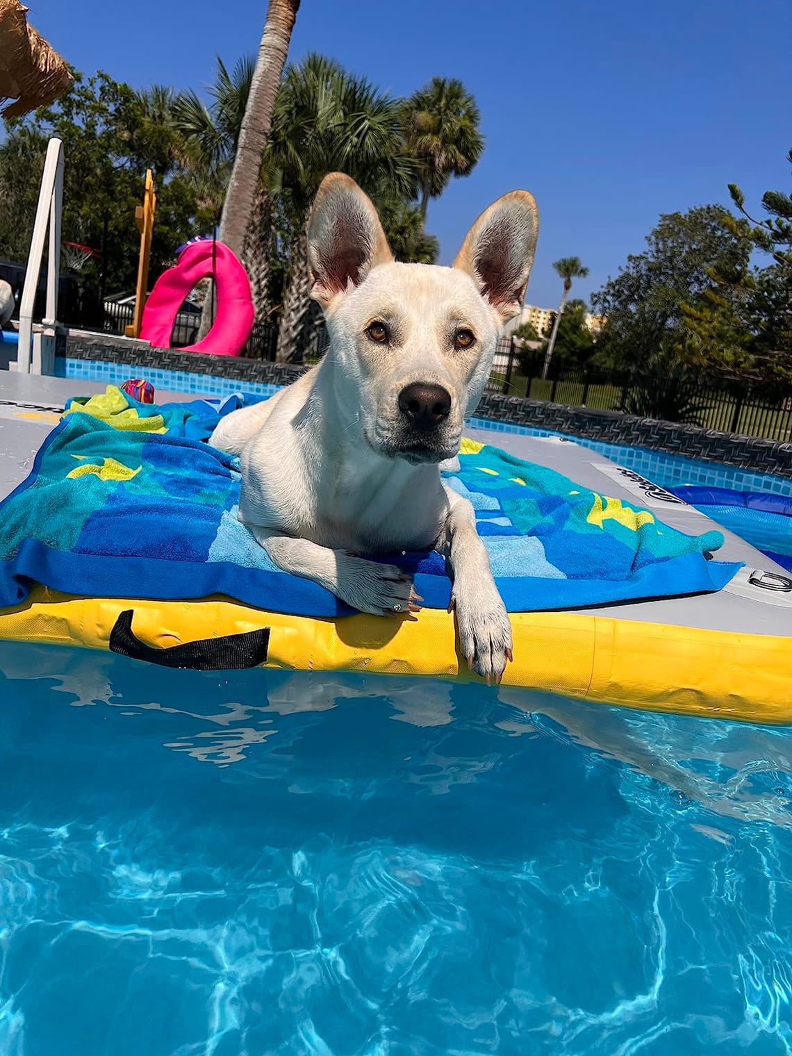 Solstice Inflatable Slide Dock Review: A Summer Must-Have?