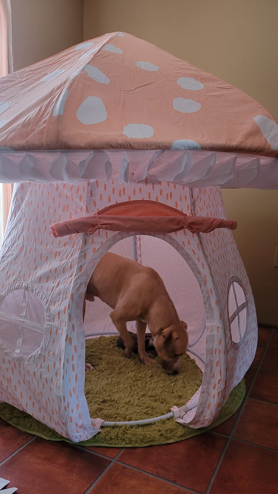 MindWare Mushroom Tent Review: My Kid's Screen-Free Escape?