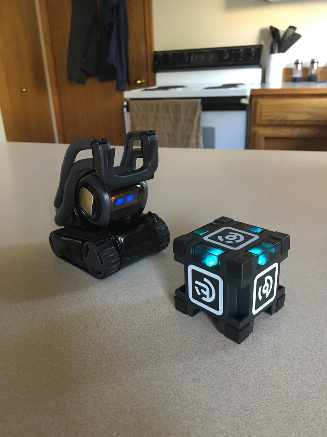 Vector Robot Review (2025): A Dad's Honest Test
