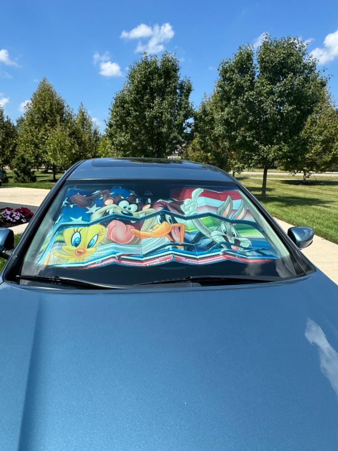 Rick and Morty Sun Shade Review: Does It Actually Work?