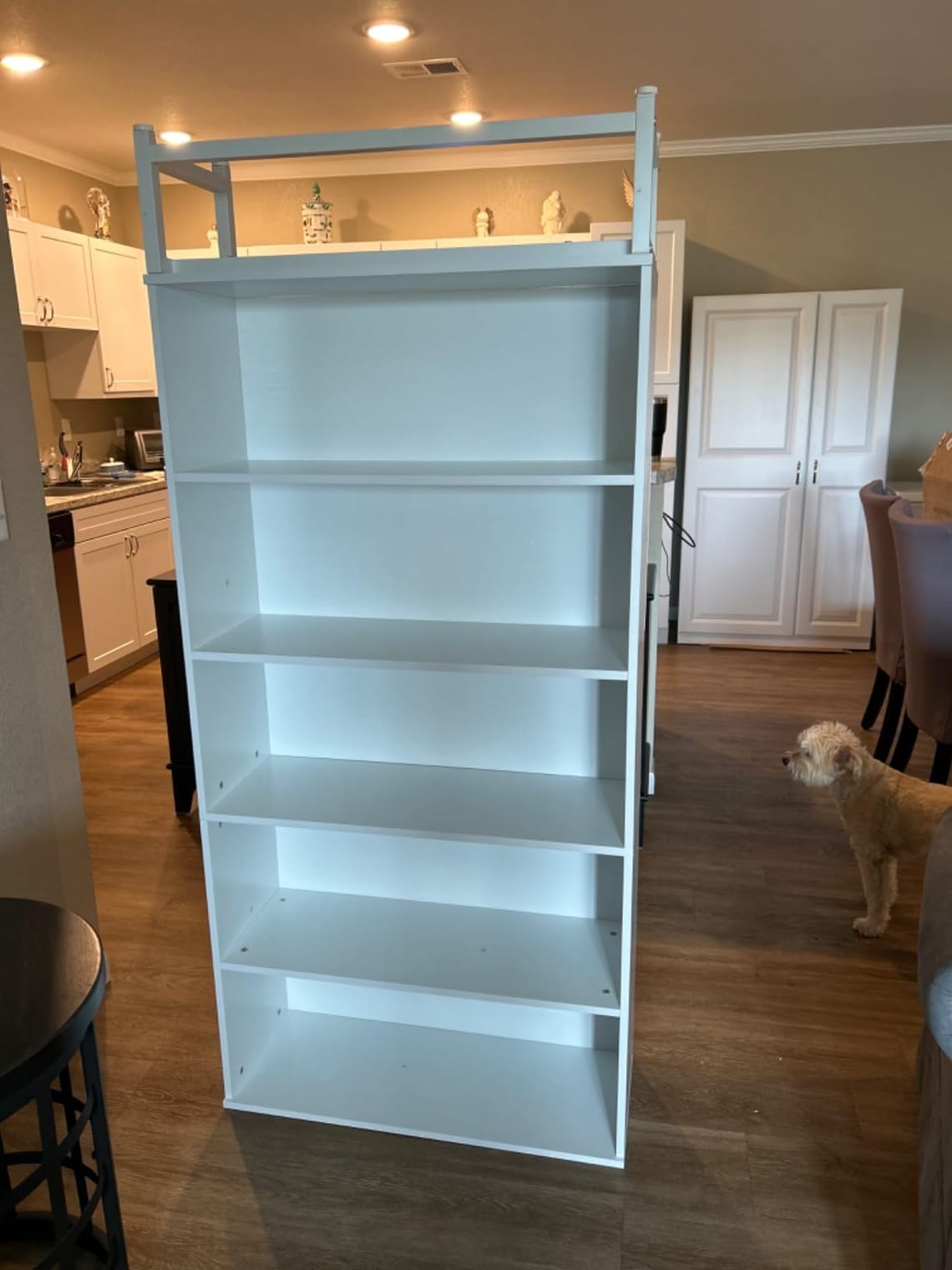Tribesigns Bookshelf Review: Style Meets Serious Storage?