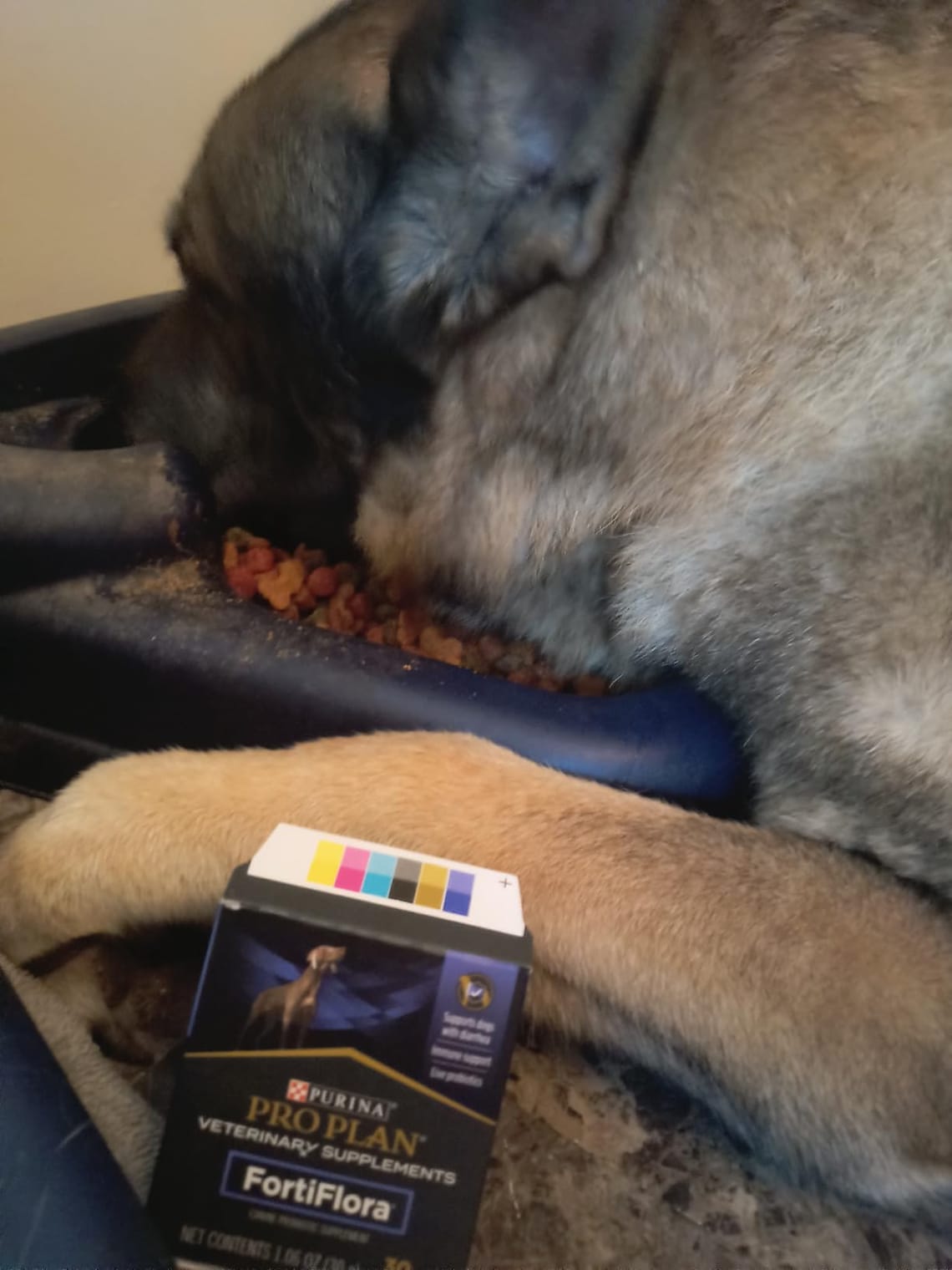 FortiFlora Review: A Lifesaver for My Dog's Digestion?