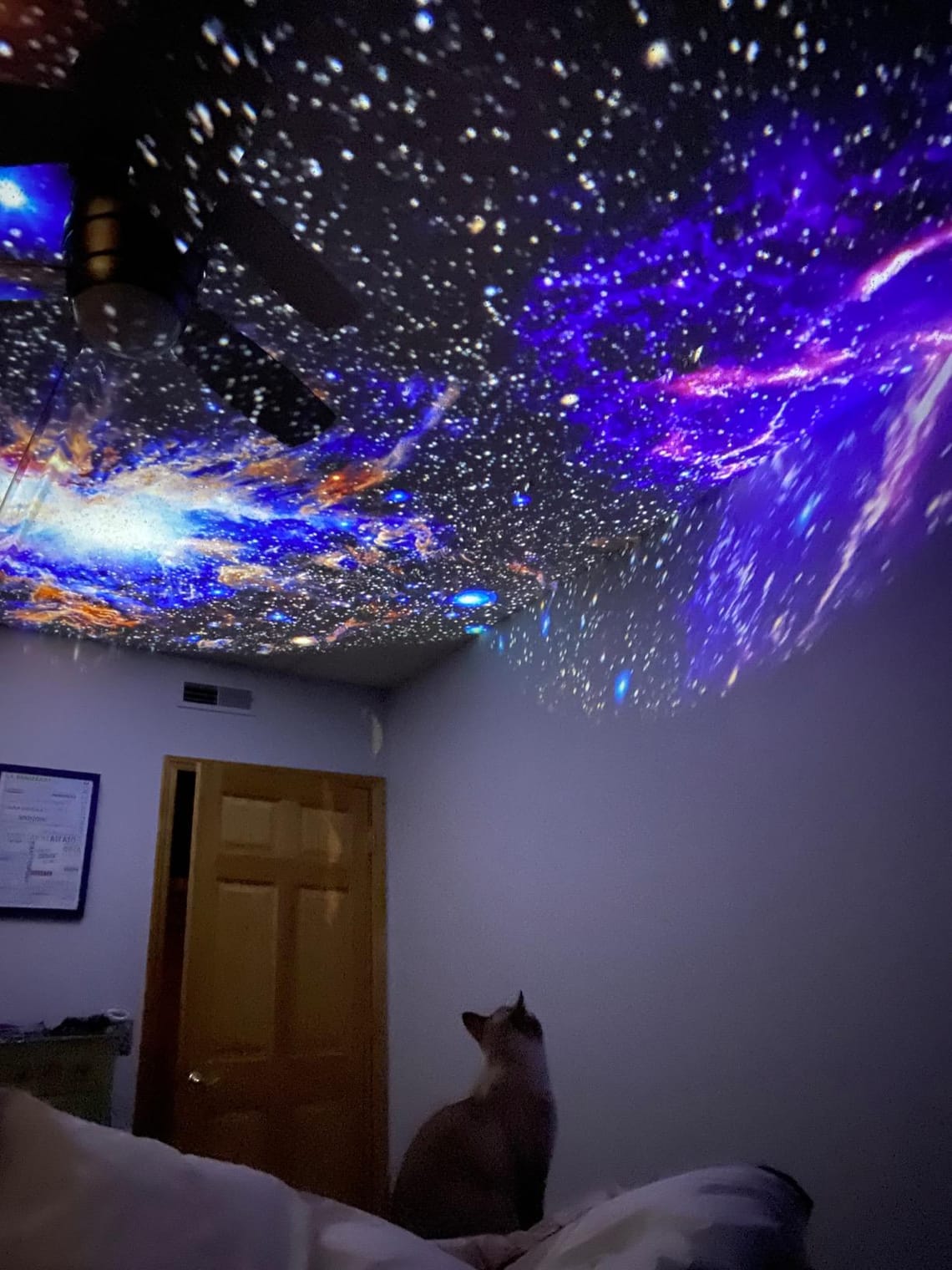 Is the Homestar Flux the Ultimate Escape from City Lights?