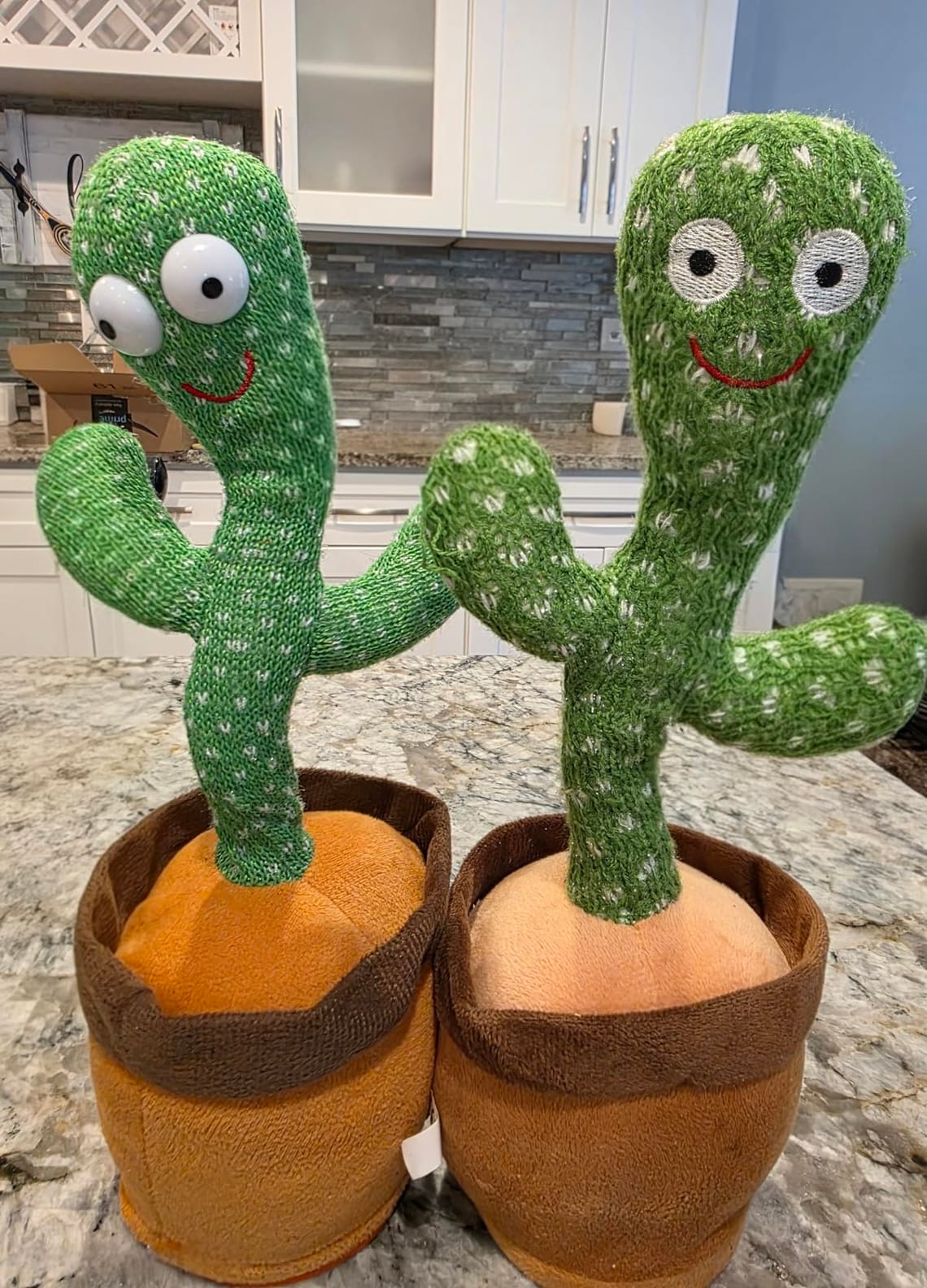 Is the Viral Dancing Cactus Toy a Parent's Worst Nightmare?