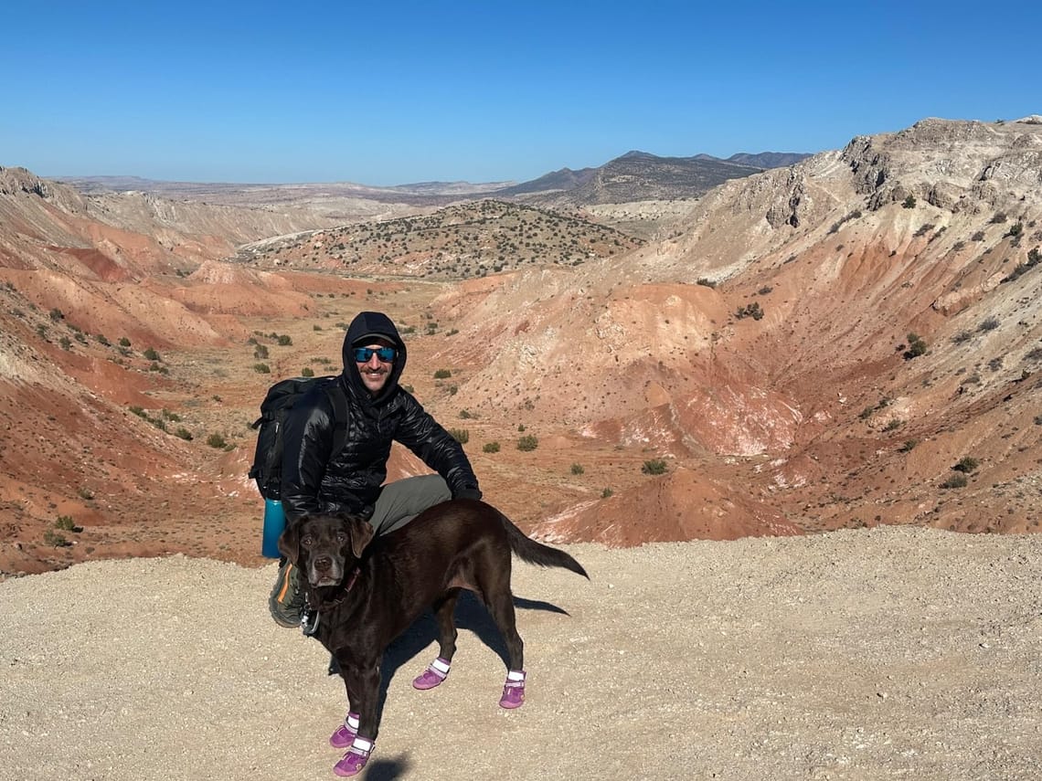 The 5 Best No-Pull Dog Harnesses We Tested This Year