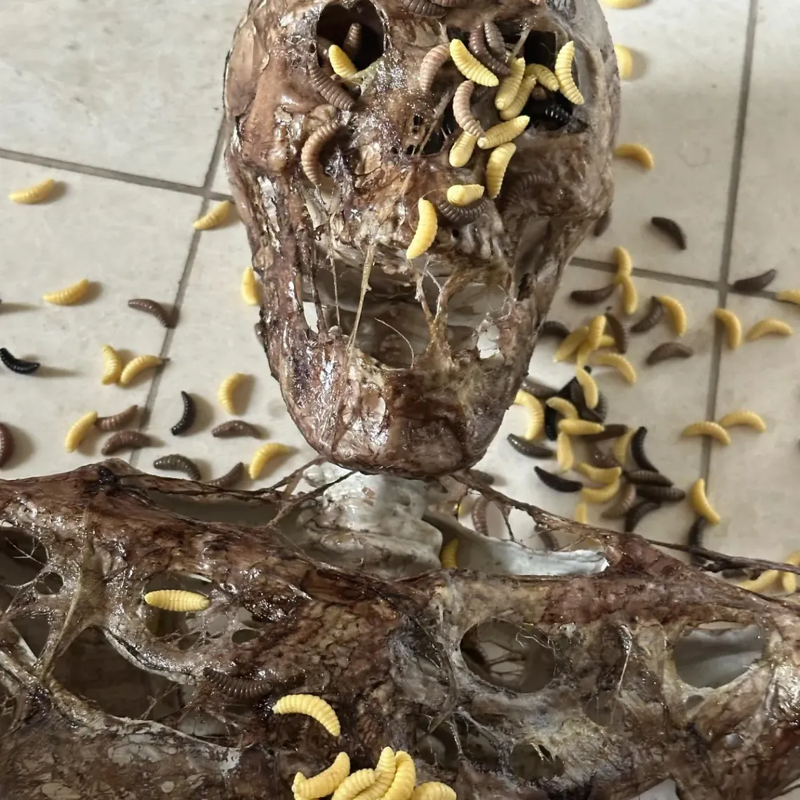 Etsy SFX Maggots Review: Too Real for Comfort?