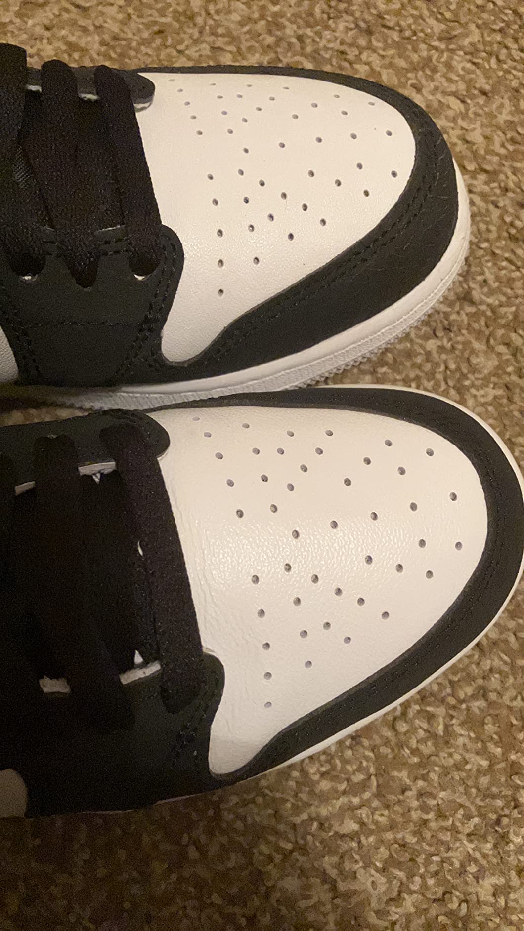 Keep Kicks Fresh? My TUPEED Crease Protector Review (2025)