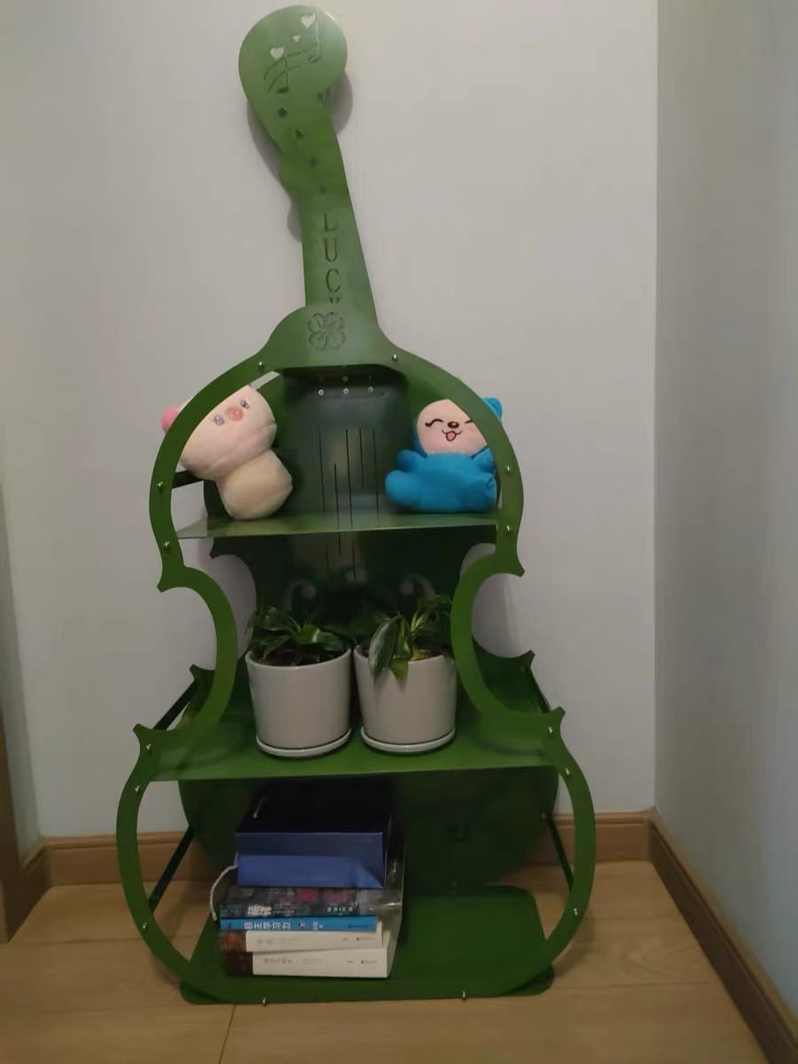 Melodia Cello Shelf Review: A Statement Piece or Just Awkward?