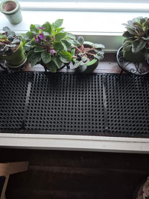Do Cat Scat Mats Work? A Pet Owner's Honest Review