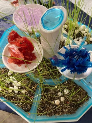 Discovery Terrarium Kit Review: A Dad's Honest Test