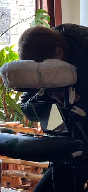 Therapist's Choice Fleece Cover: The Ultimate Comfort Upgrade?