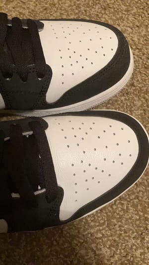 Keep Kicks Fresh? My TUPEED Crease Protector Review (2025)