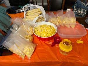 Fshow Corn Stripper Review: My BBQ Game-Changer?
